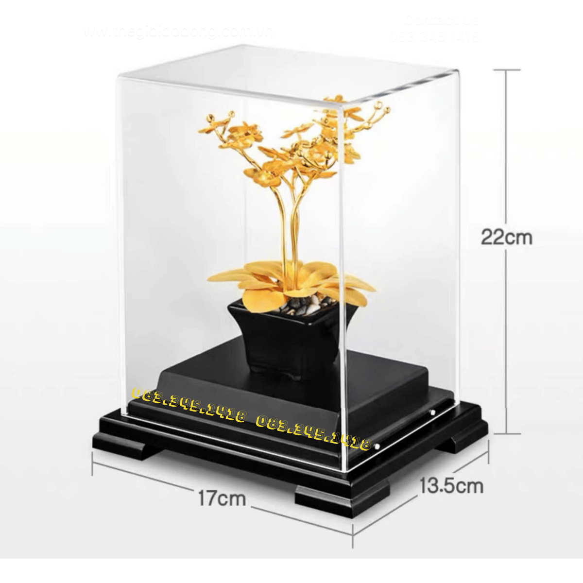 Hoa Lan Mạ Vàng 24k | Quà Tặng Sếp Nữ Tinh Tế