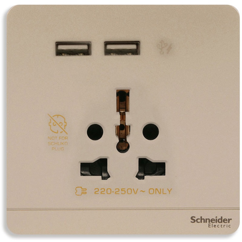Bộ Ổ Cắm Đa Năng Và Sạc USB Đôi Màu Vàng Ánh Kim Schneider AvatarOn Mã E8342616USB_WG_G19
