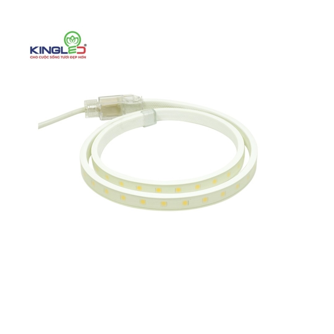 Đèn kingLED dây   12W m  EC LD 12 2835