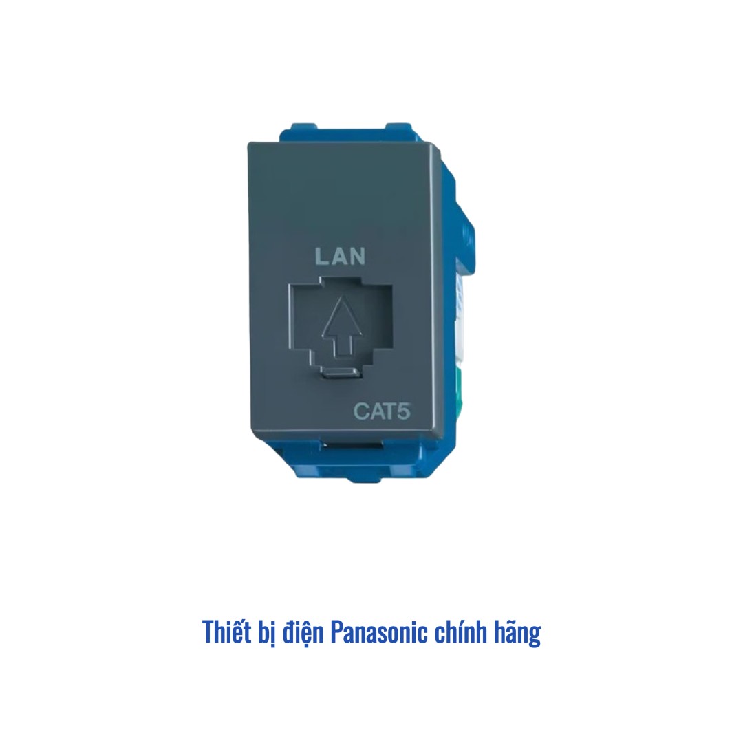 Ổ cắm mạng CAT5E Panasonic WEV2488H - Màu Xám Ánh Kim