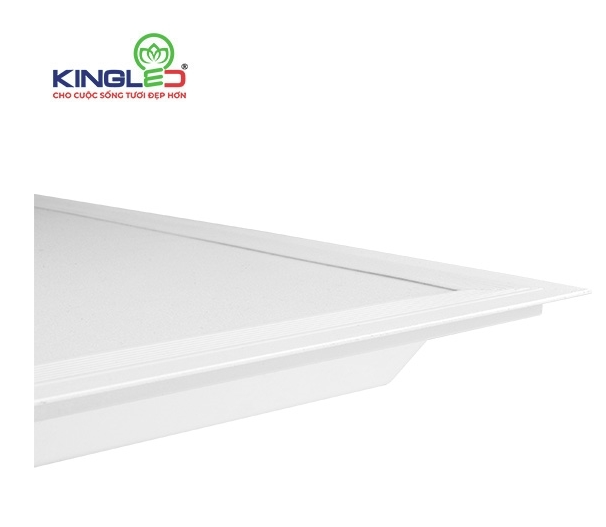ĐÈN KINGLED PANEL HỘP ZOISITE CHỮ NHẬT Lỗ Khoét  29x119 PLH-48SS-30120