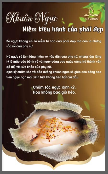 Khuôn ngực niềm kiêu hãnh của phái đẹp