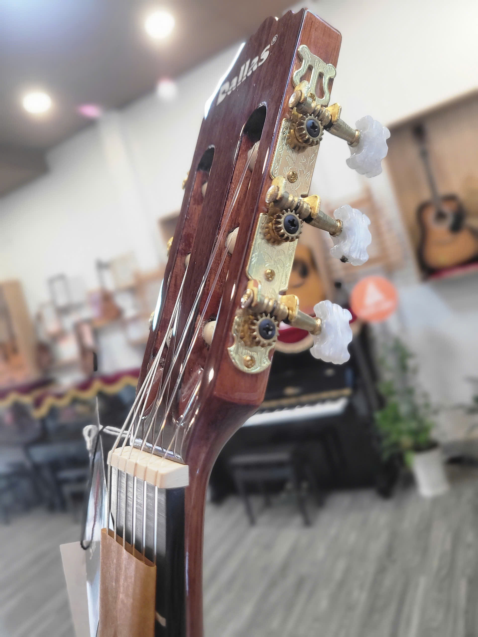 ĐÀN GUITAR CLASSIC DALLAS DL - C300EQ