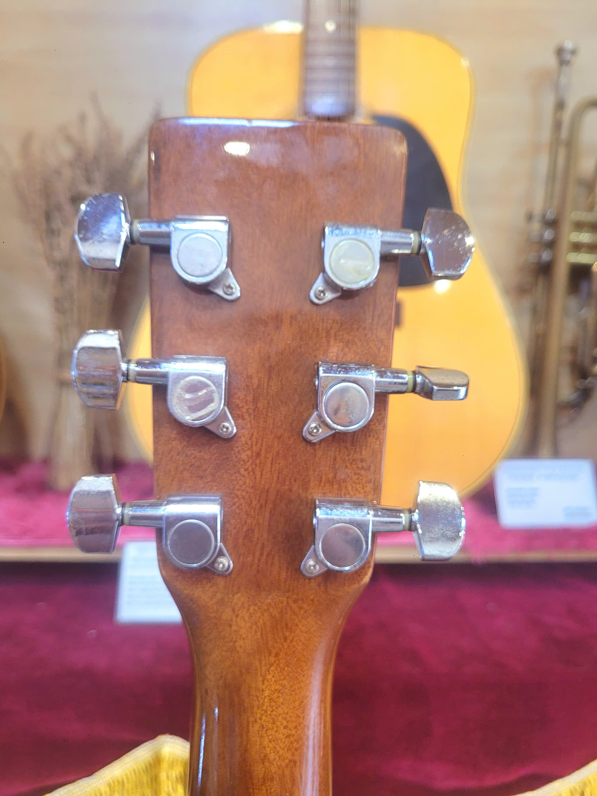 ĐÀN GUITAR ACOUSTIC HONEY BEE W15/TS