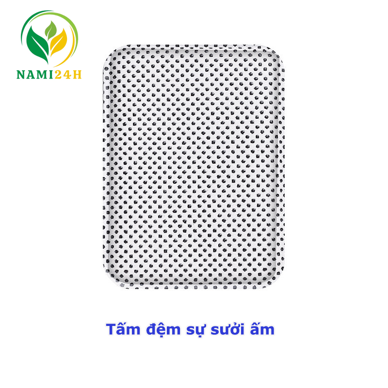 đai thoát vị đĩa đệm