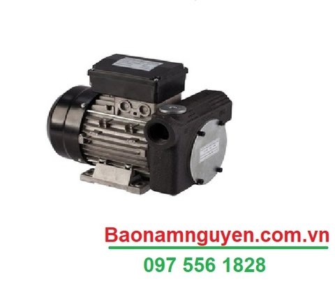 Bơm dầu Trung Quốc DYB-80