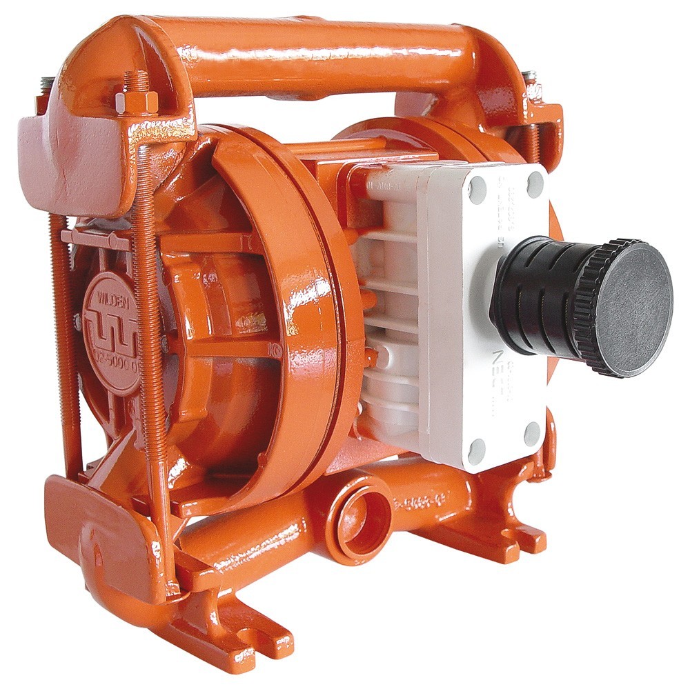 Bơm màng 1 DIAPHRAGM PUMP