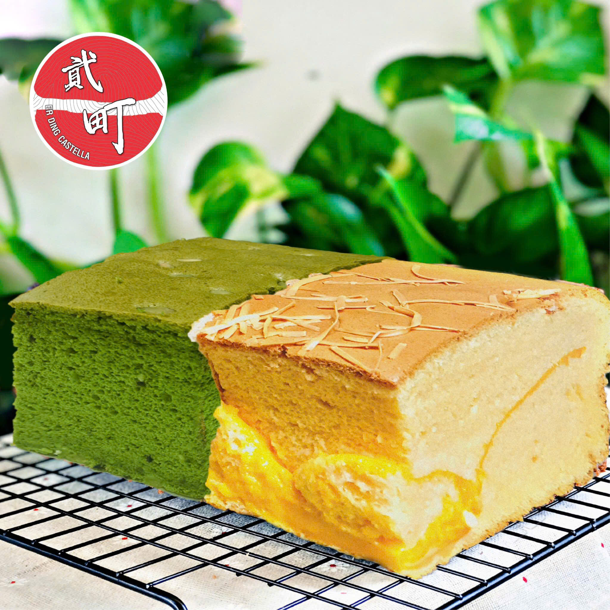 Phô Mai + Trà Xanh