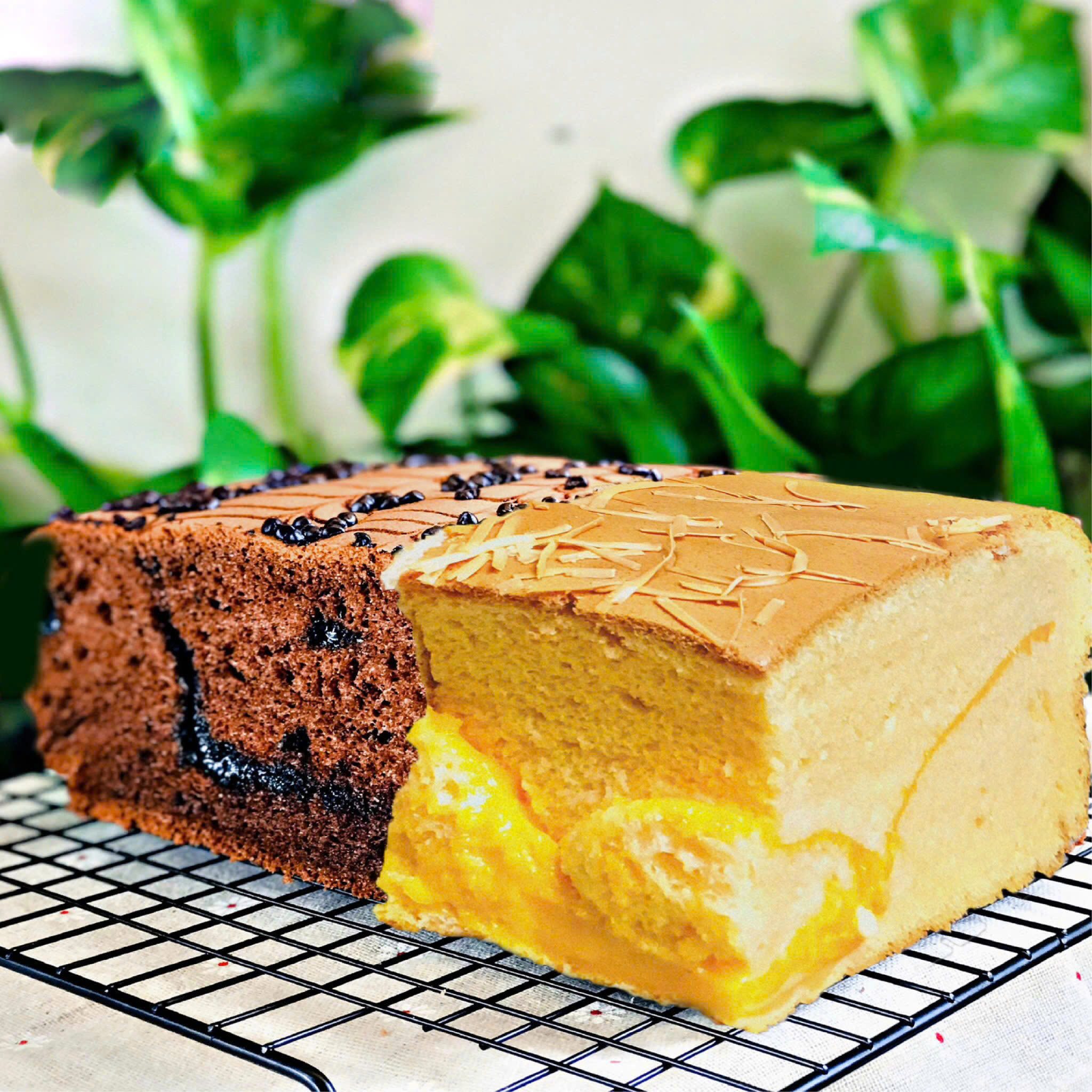 [W] - Mix 2 Vị [Socola + Phô Mai]