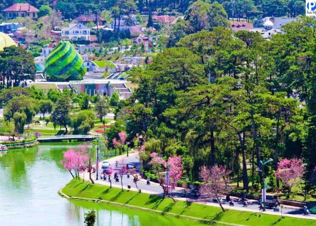Khám Phá Đà Lạt - Thành Phố Ngàn Hoa: Những Điều Không Nên Bỏ Lỡ