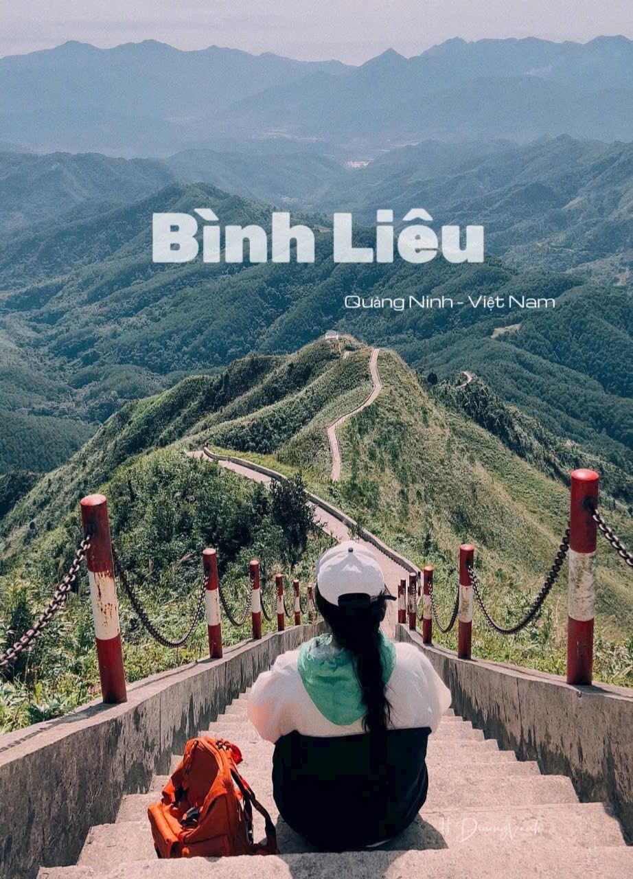 Chuyến Hành Trình Khám Phá Thiên Đường Cỏ Lau Bình Liêu: Một Kỳ Quan Thiên Nhiên