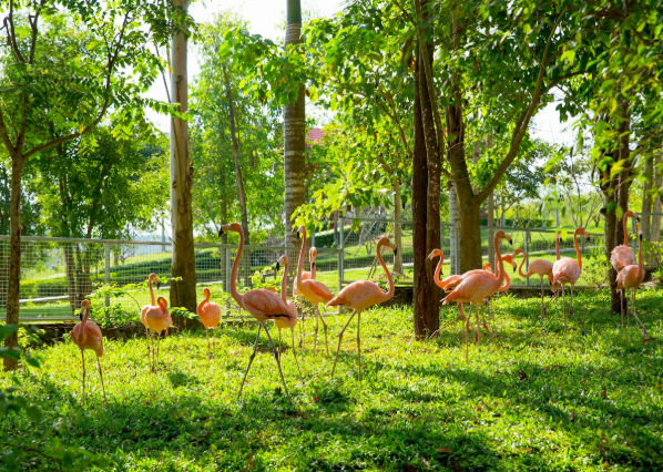 Khám Phá Mường Thanh Safari Diễn Lâm: Thiên Đường Nghỉ Dưỡng Giữa Lòng Xứ Nghệ