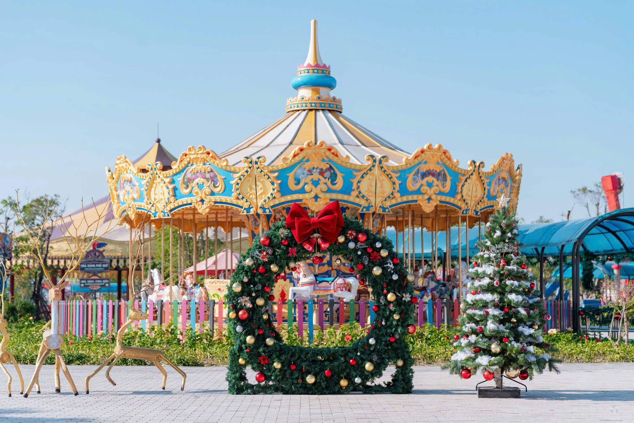 Tháng 12: Thời Điểm Hoàn Hảo Cho Những Hành Trình và Ký Ức Đáng Nhớ