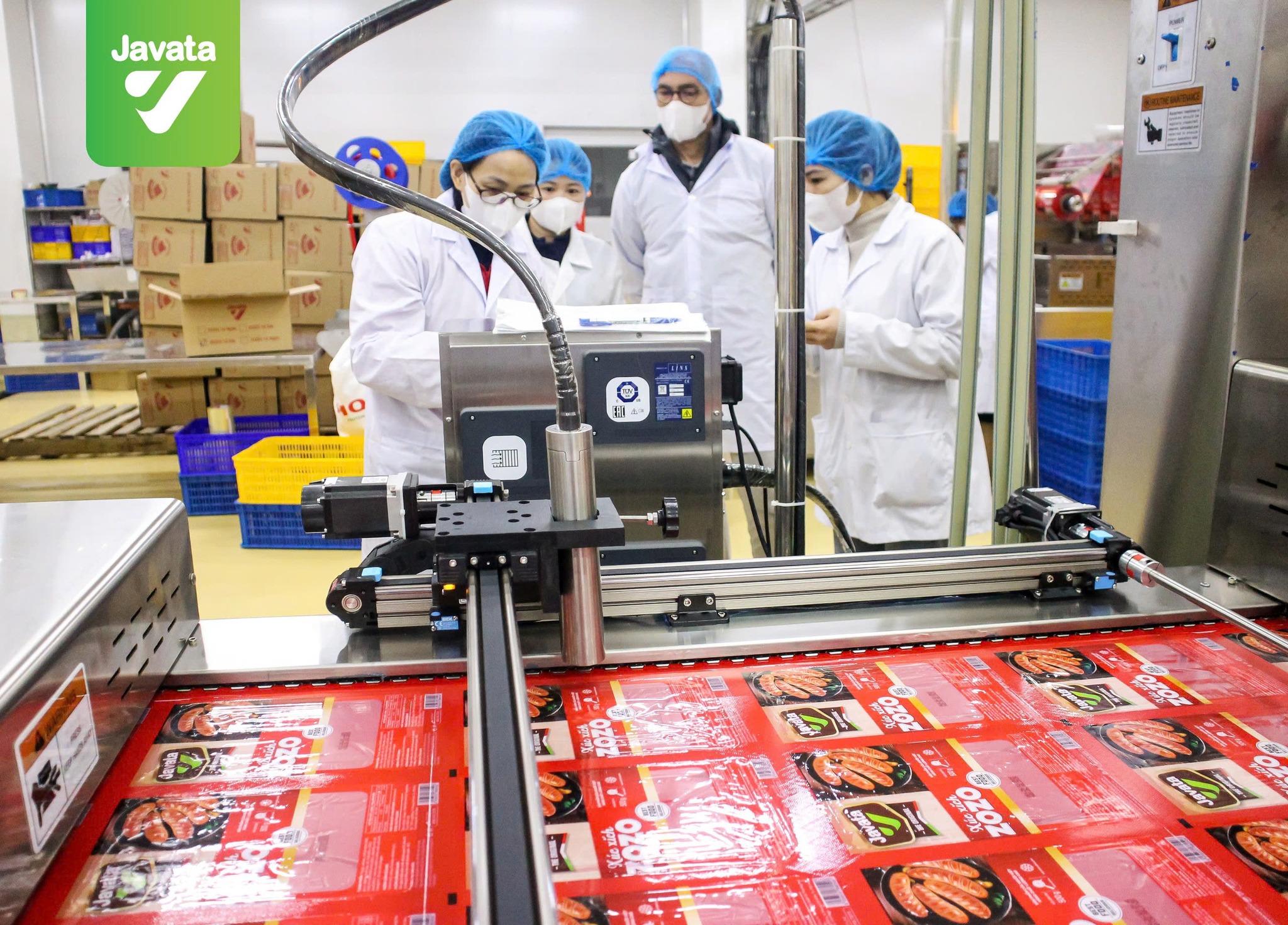 Xúc xích ZoZo Javata Dài 500g (10 Chiếc)