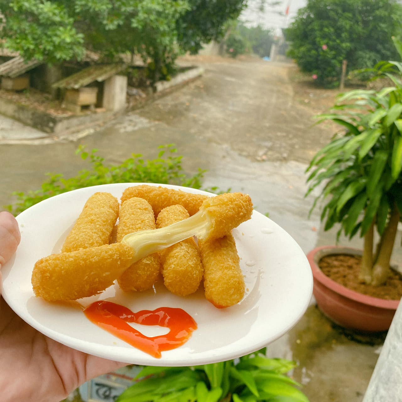 Phô mai Que Nét Việt 650g (20 chiếc)