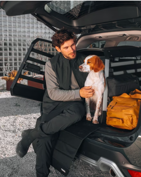 Đồng hành cùng thú cưng