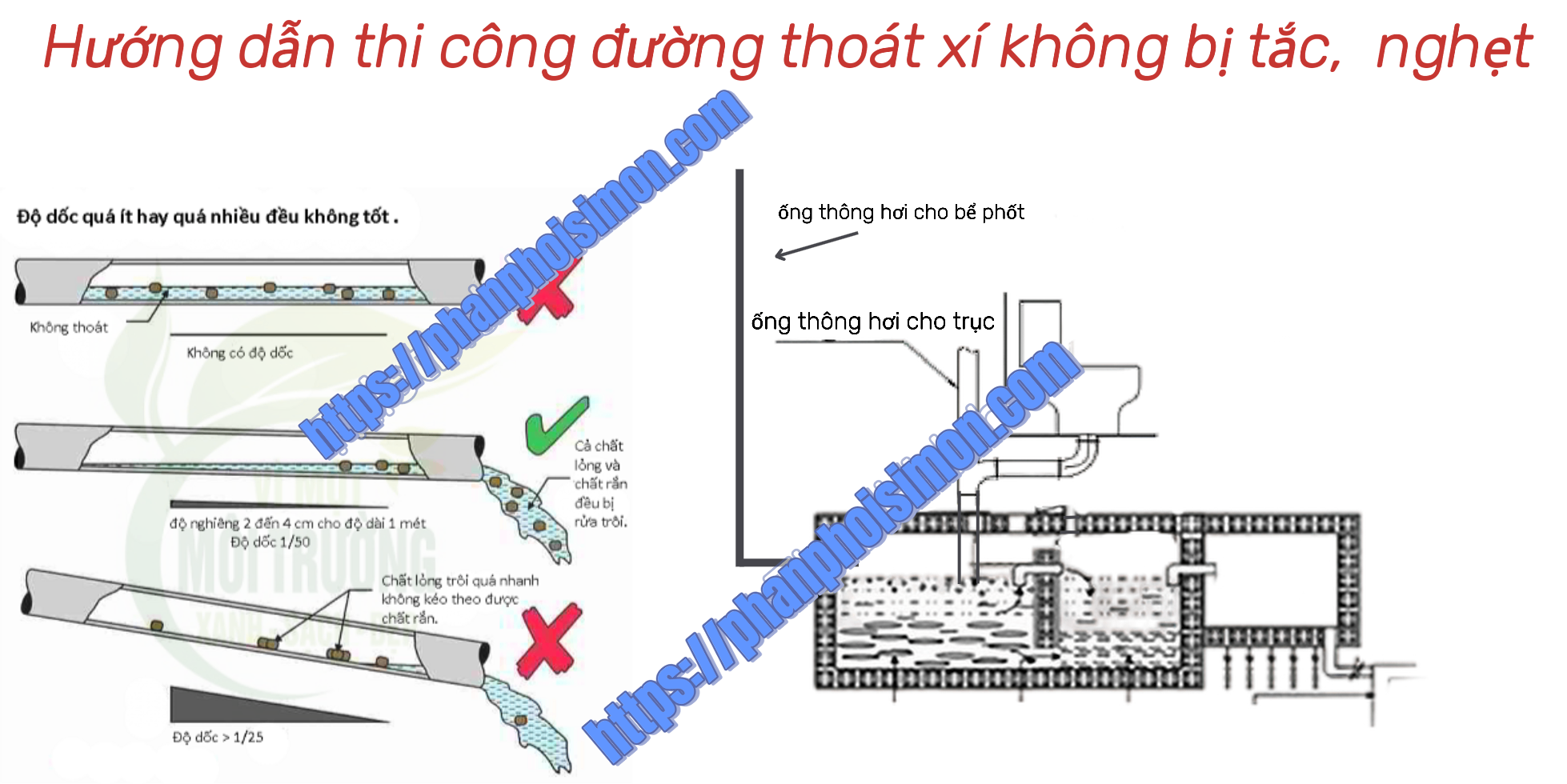 Hình ảnh bài viết