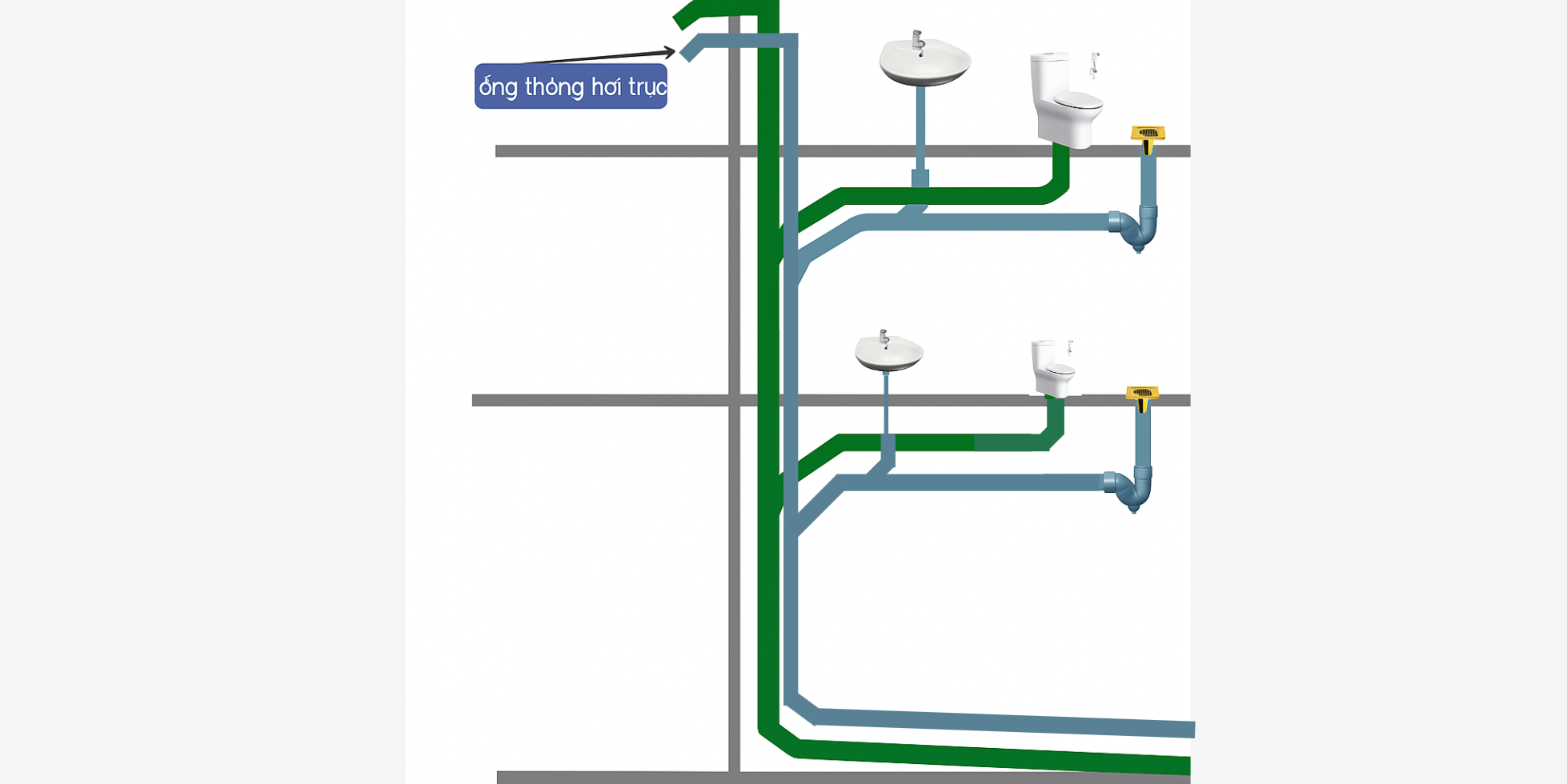 Hình ảnh bài viết