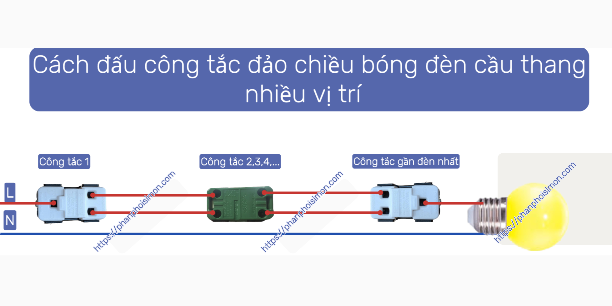Hình ảnh bài viết