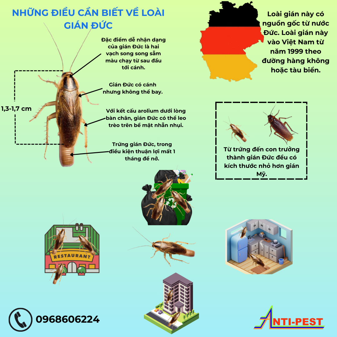 BẬT MÍ BÍ MẬT KINH HOÀNG: GIÁN ĐỨC