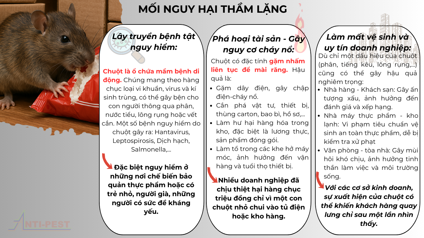 Diệt, phòng chống chuột