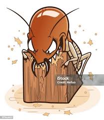 Phòng Chống Mối Hiệu Quả: Giải Pháp Tận Gốc Từ Thăng Long Anti Pest