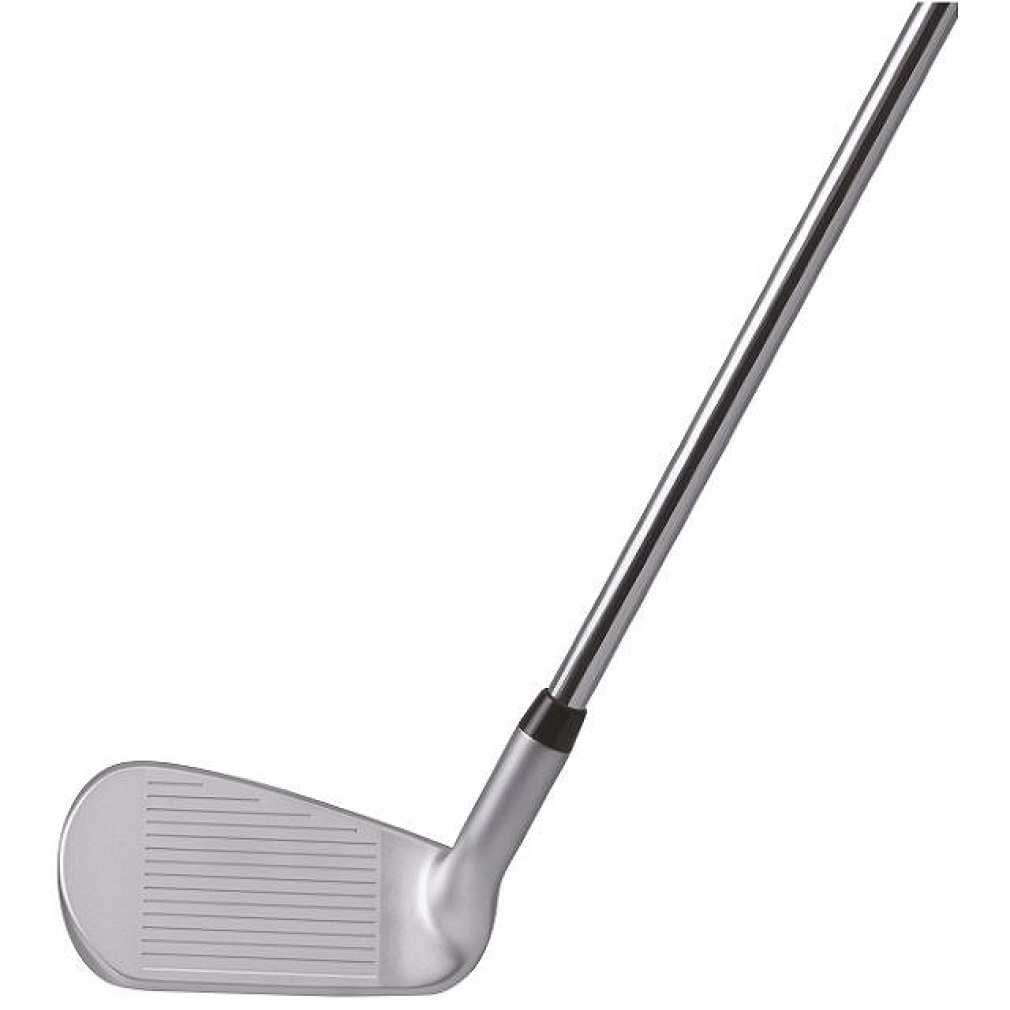 kasco wedge DRW-119 Dolphin Running Nippon Shaft Dolphin Original Shaft 39ﾟ 0ﾟ