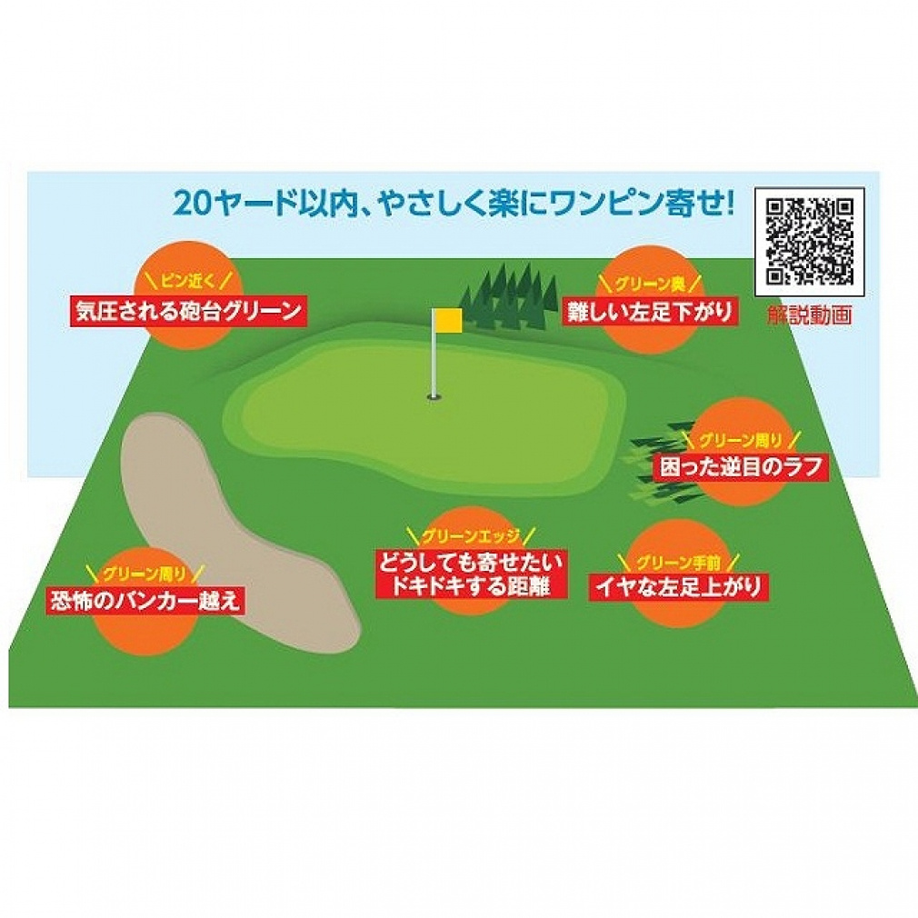 kasco wedge DFW-119 Dolphin Flying Nippon Shaft Dolphin Original Shaft 55ﾟ 0ﾟ