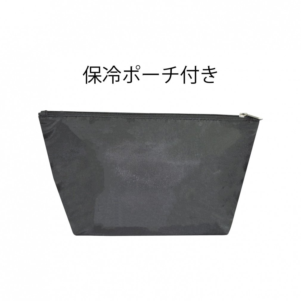 NPB Pouch Chunichi Dragons Mini Tote CDBB-4407