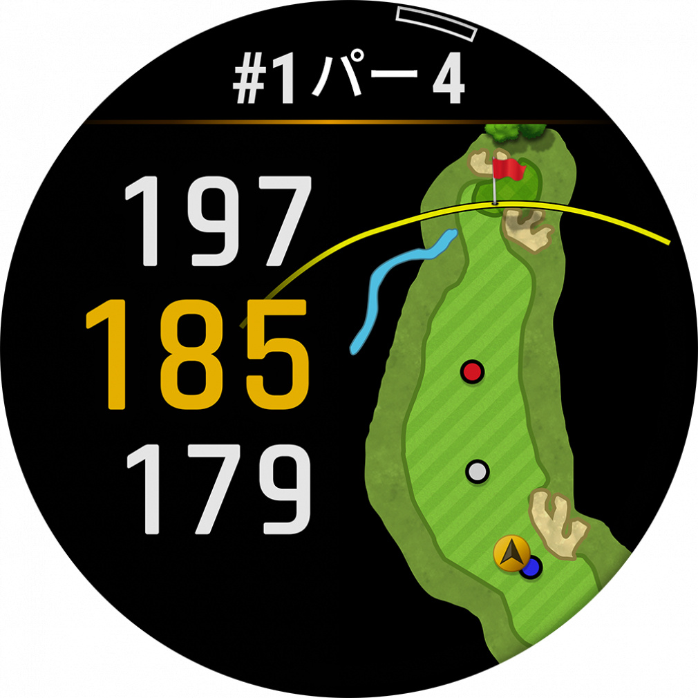 GARMIN Approach Z30 0100295010