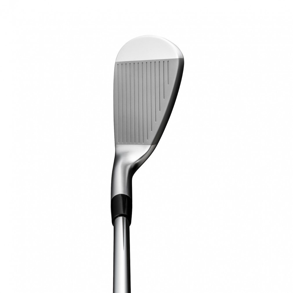 MIZUNO iron club JPX 925 FORGED N.S.PRO 950GH neo