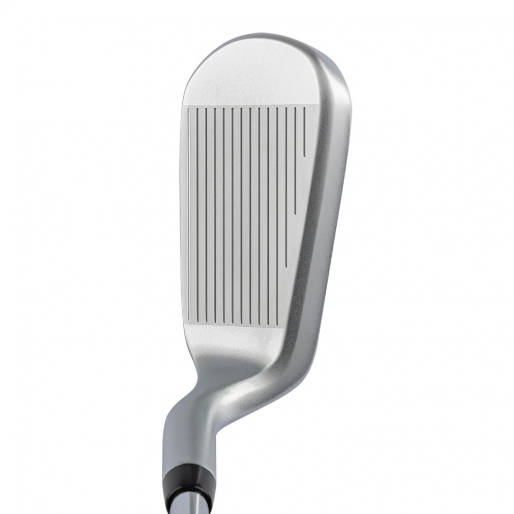 kasco wedge Ladies DOLPHIN PITCH & RUN DPW-225 (48 deg) Dolphin Pitch & Run Ladies