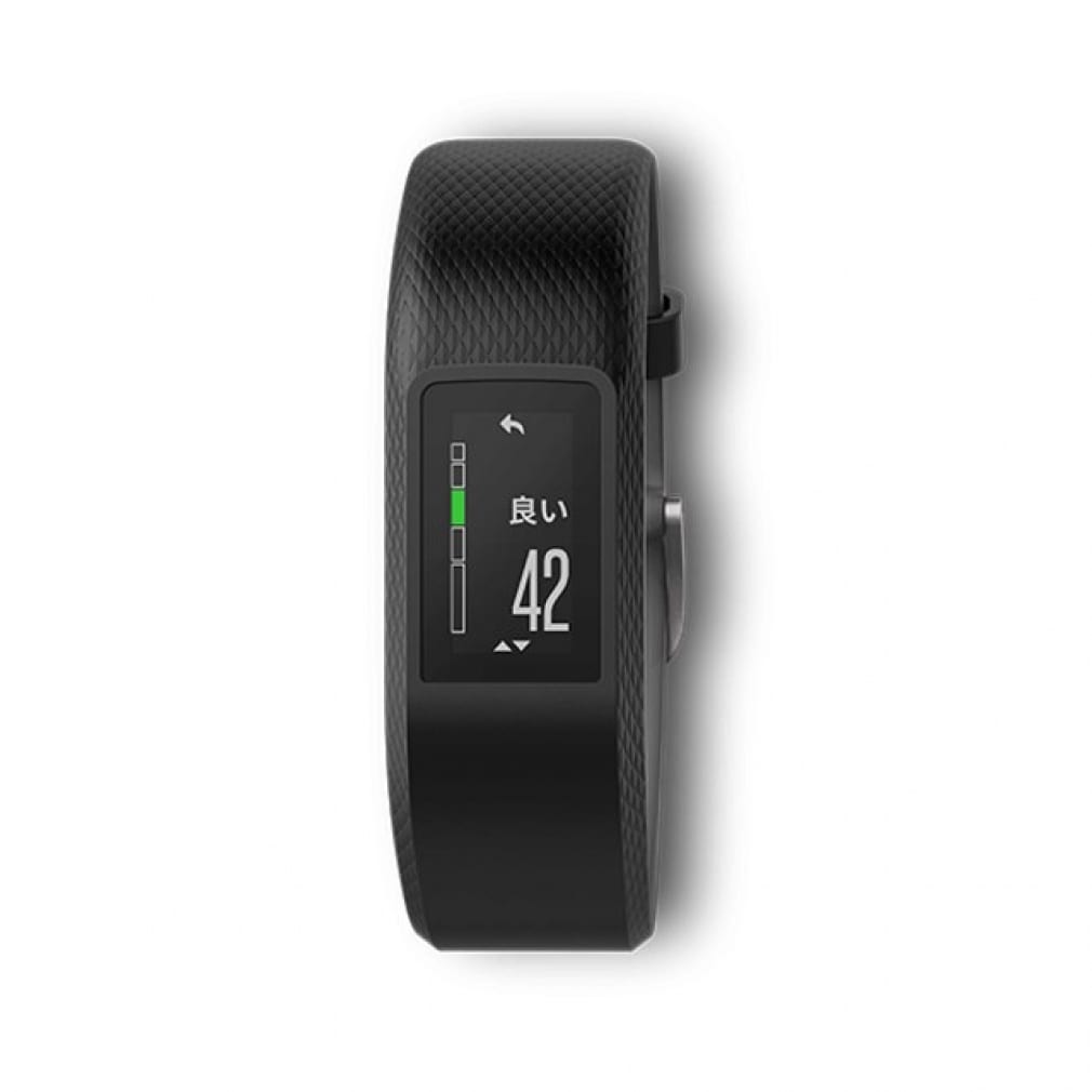 GARMIN vivosport Slate 0100178972