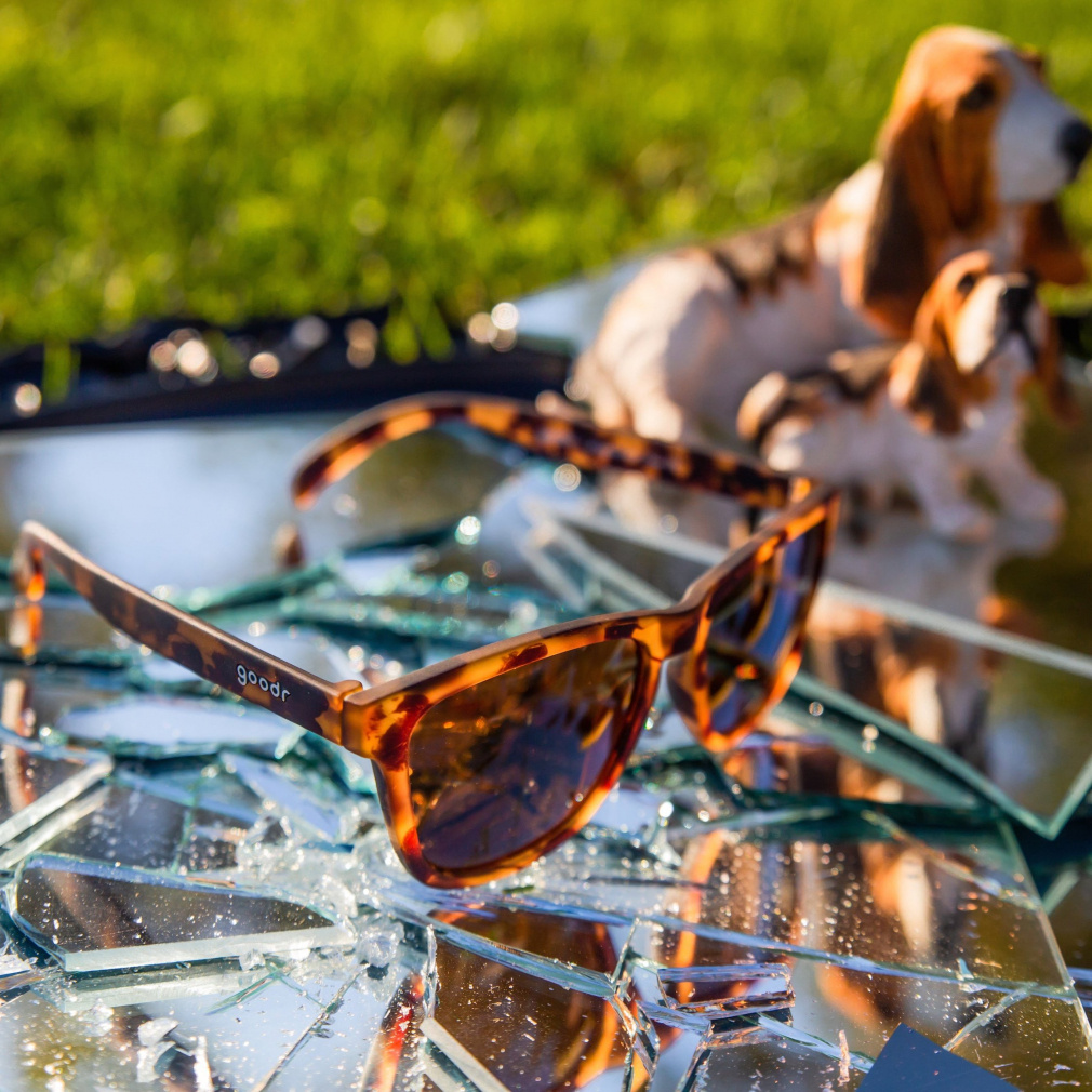 goodr Sunglasses OG BOSLEYS BASSET HOUND DREAMS