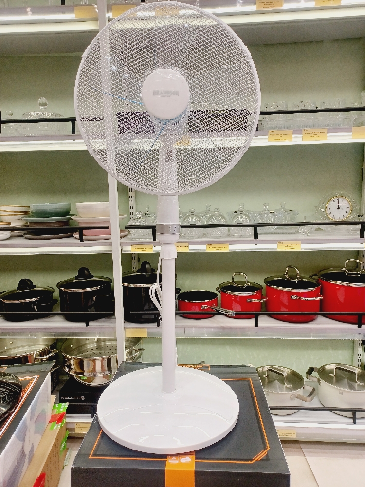 Quạt đứng Branson trắng 5 cánh (không điều khiển) seri 305007