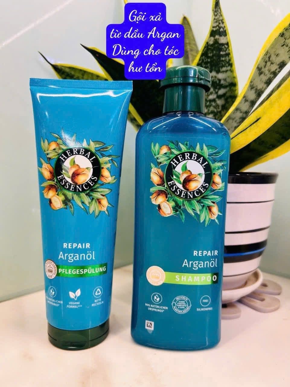 Dầu xả tóc Herbel Essences 250ml (Dầu Argan)