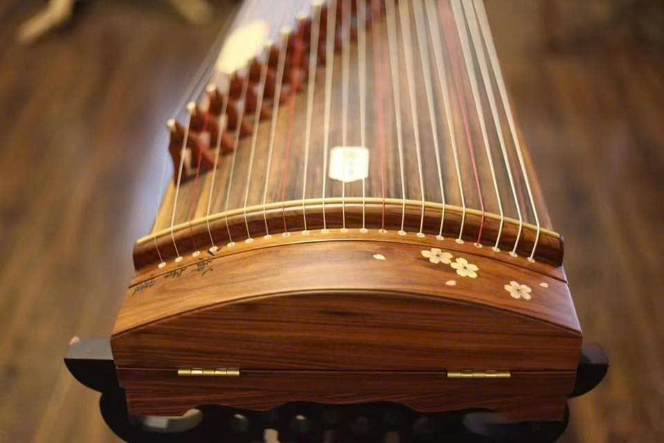 Truyền Thừa Hoa Mai