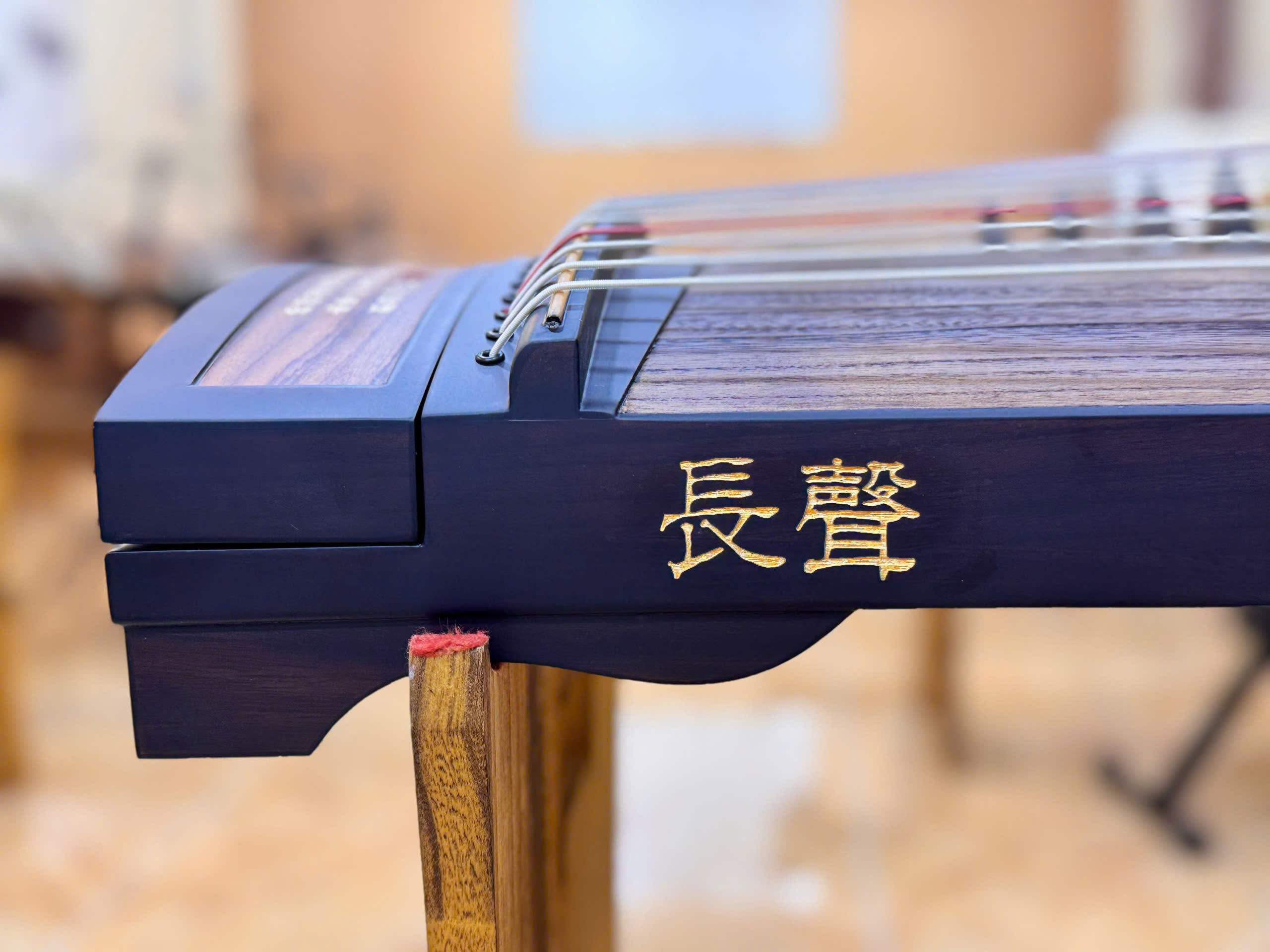 Thụy Hà Đình Ảnh