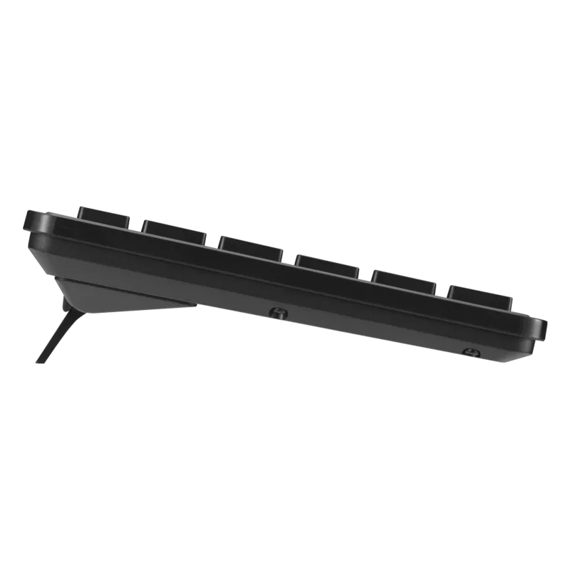 Combo Bàn Phím và Chuột Không Dây ASUS CW101