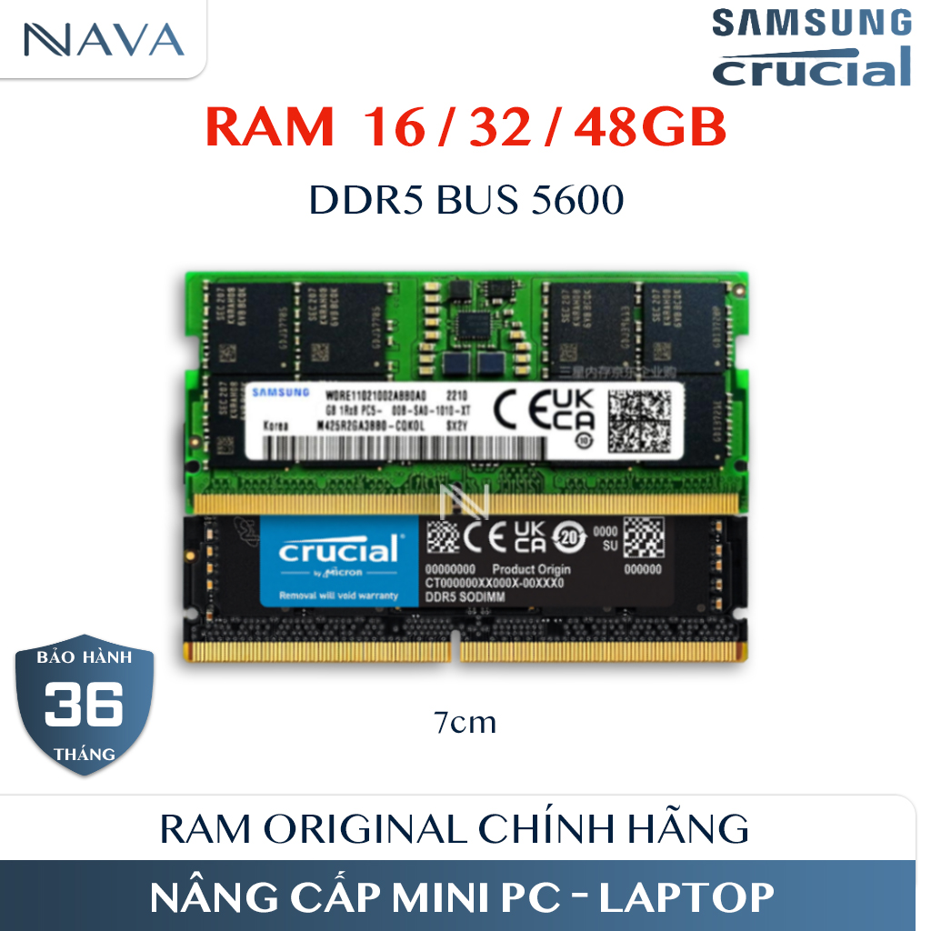 RAM DDR5 5600 Samsung Crucial 16GB 32GB 48GB Chính Hãng BH 3 Năm
