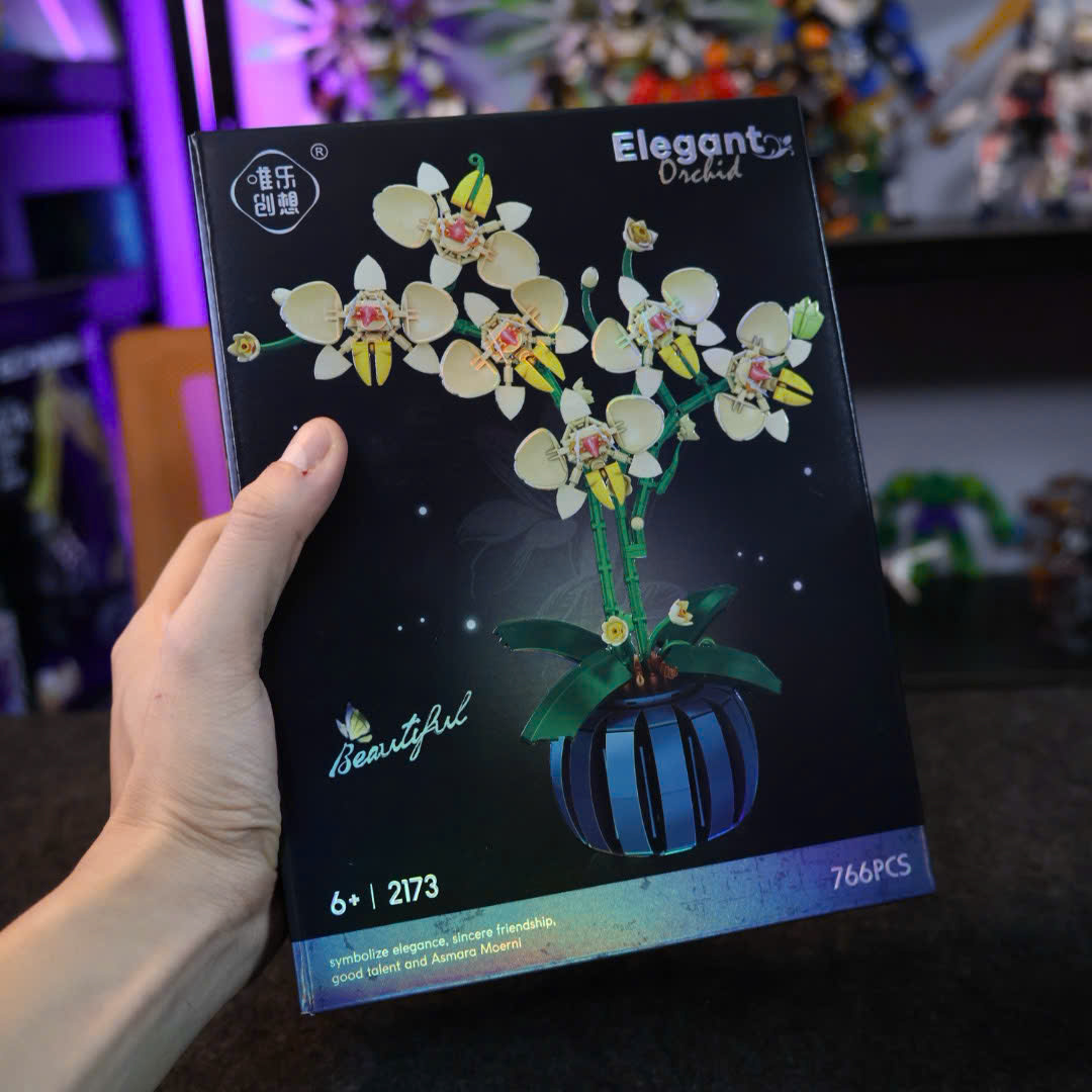 [HOA] Hoa Lan | 2173