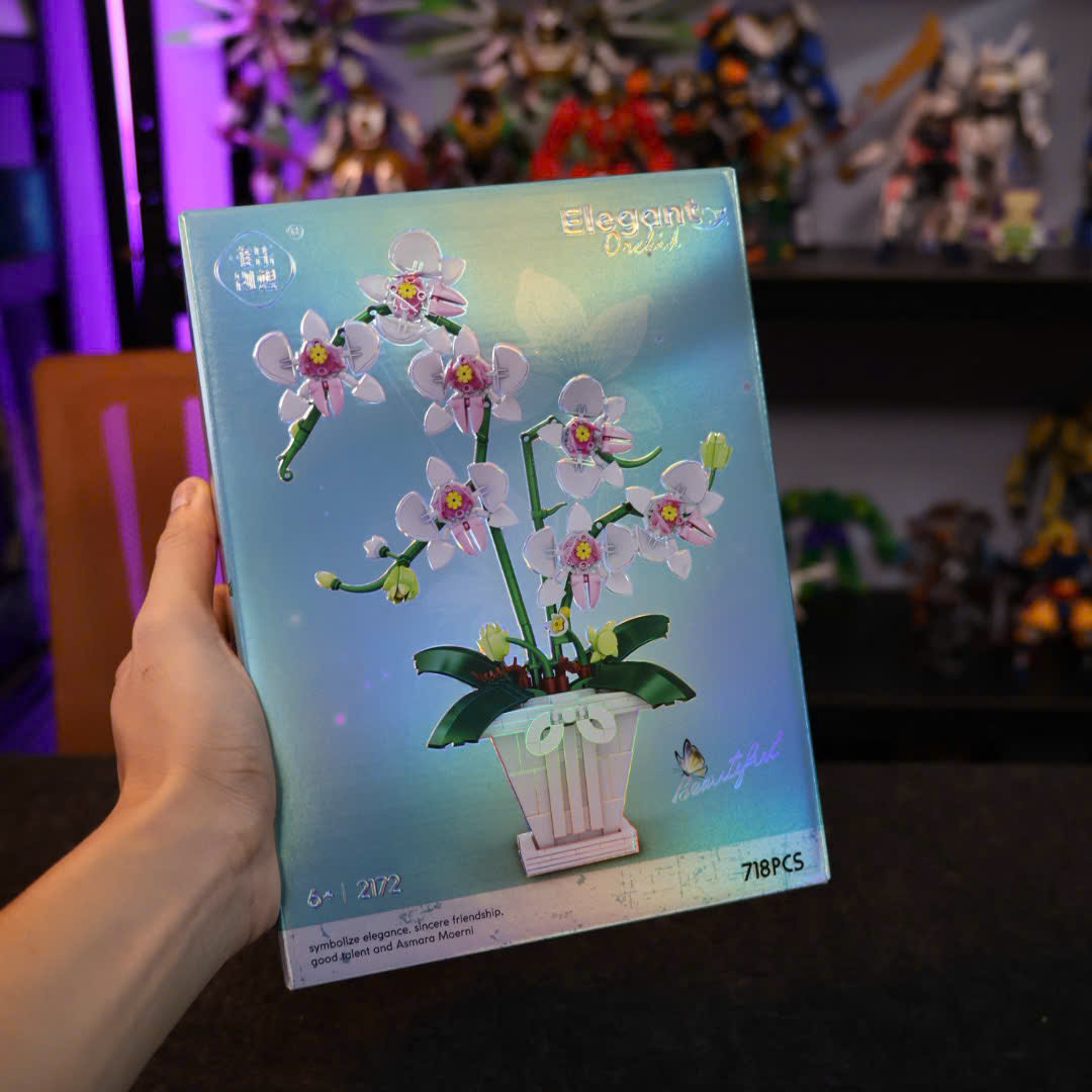 [HOA] Hoa Lan | 2172