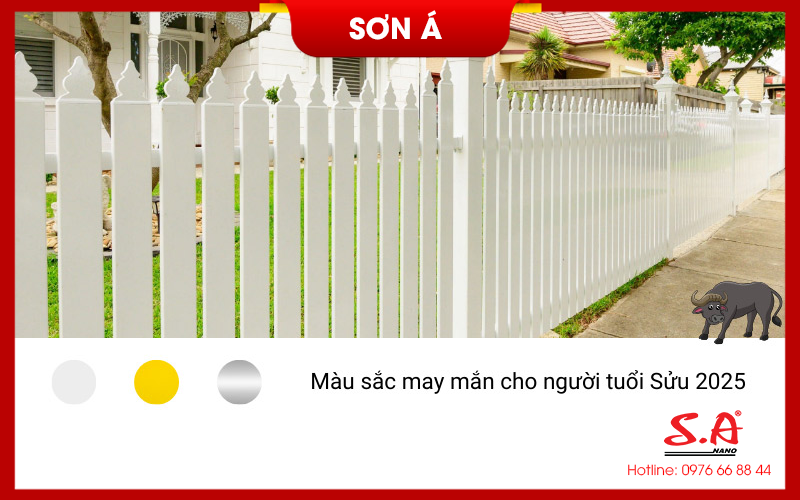 Phong thuỷ màu sắc theo 12 con giáp năm 2025