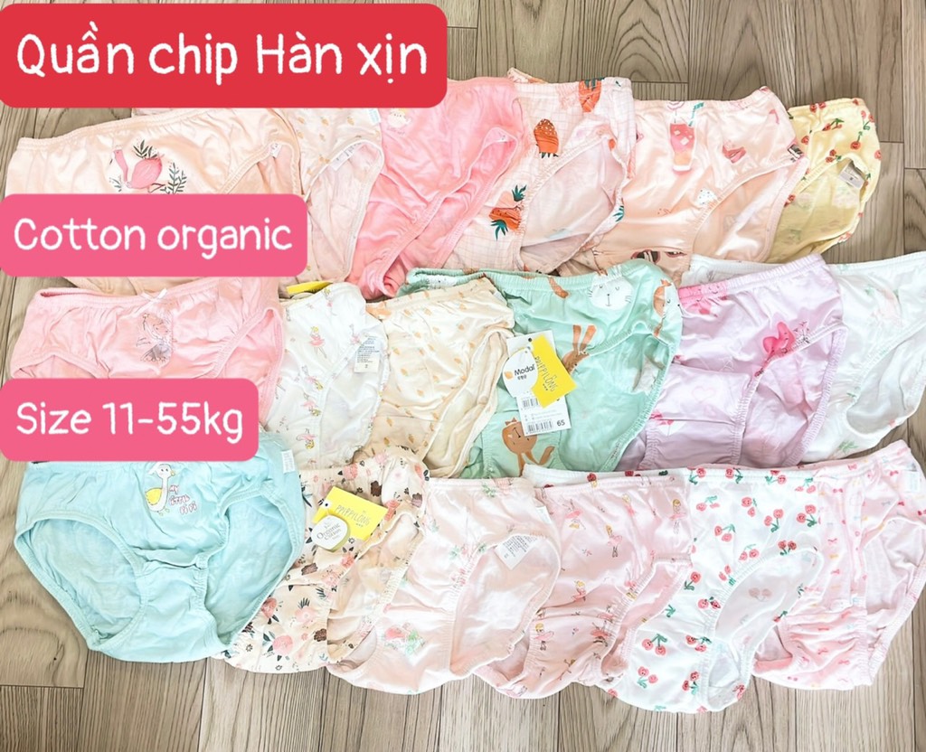 C05 Quần chip bé gái cotton Hàn
