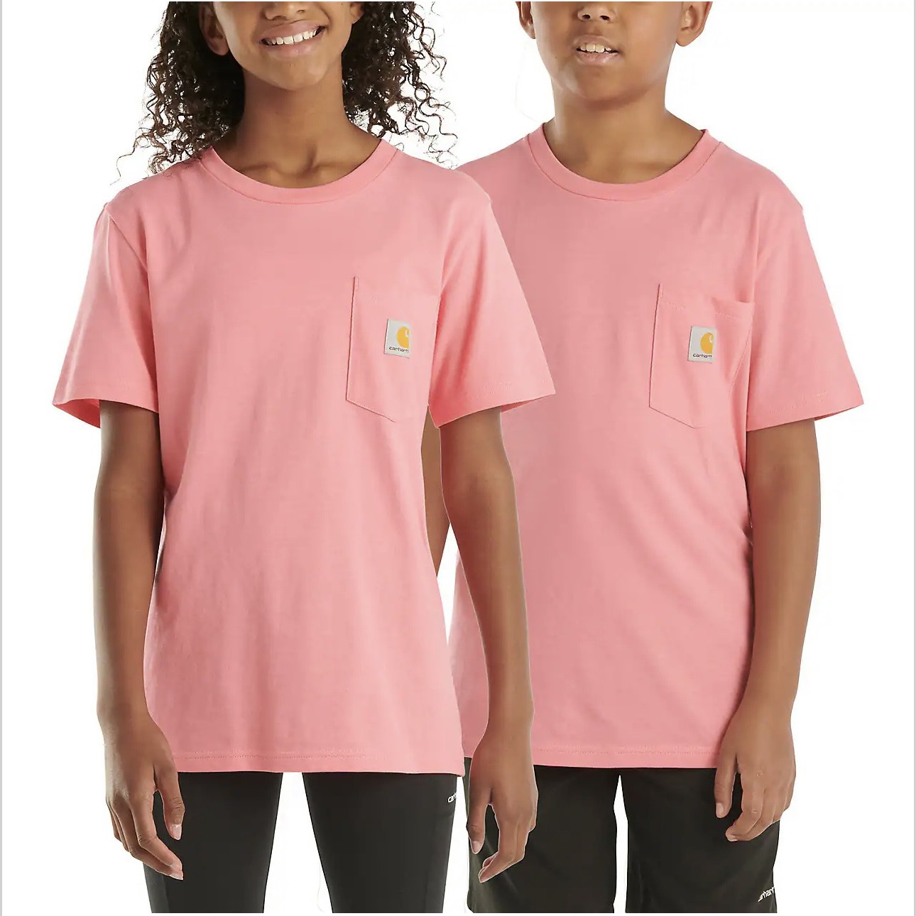 A27 Áo phông Carhartt lớn