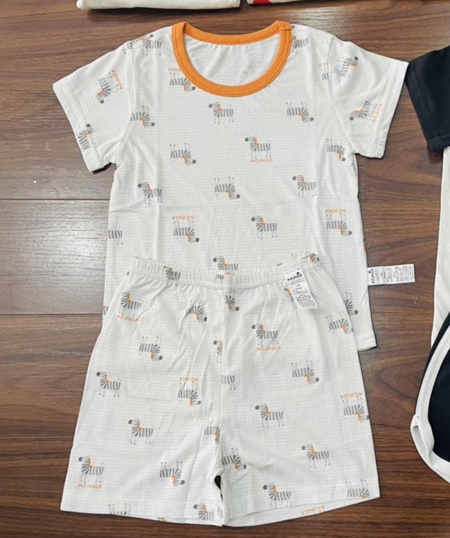 B04 Bộ cotton Hàn xịn