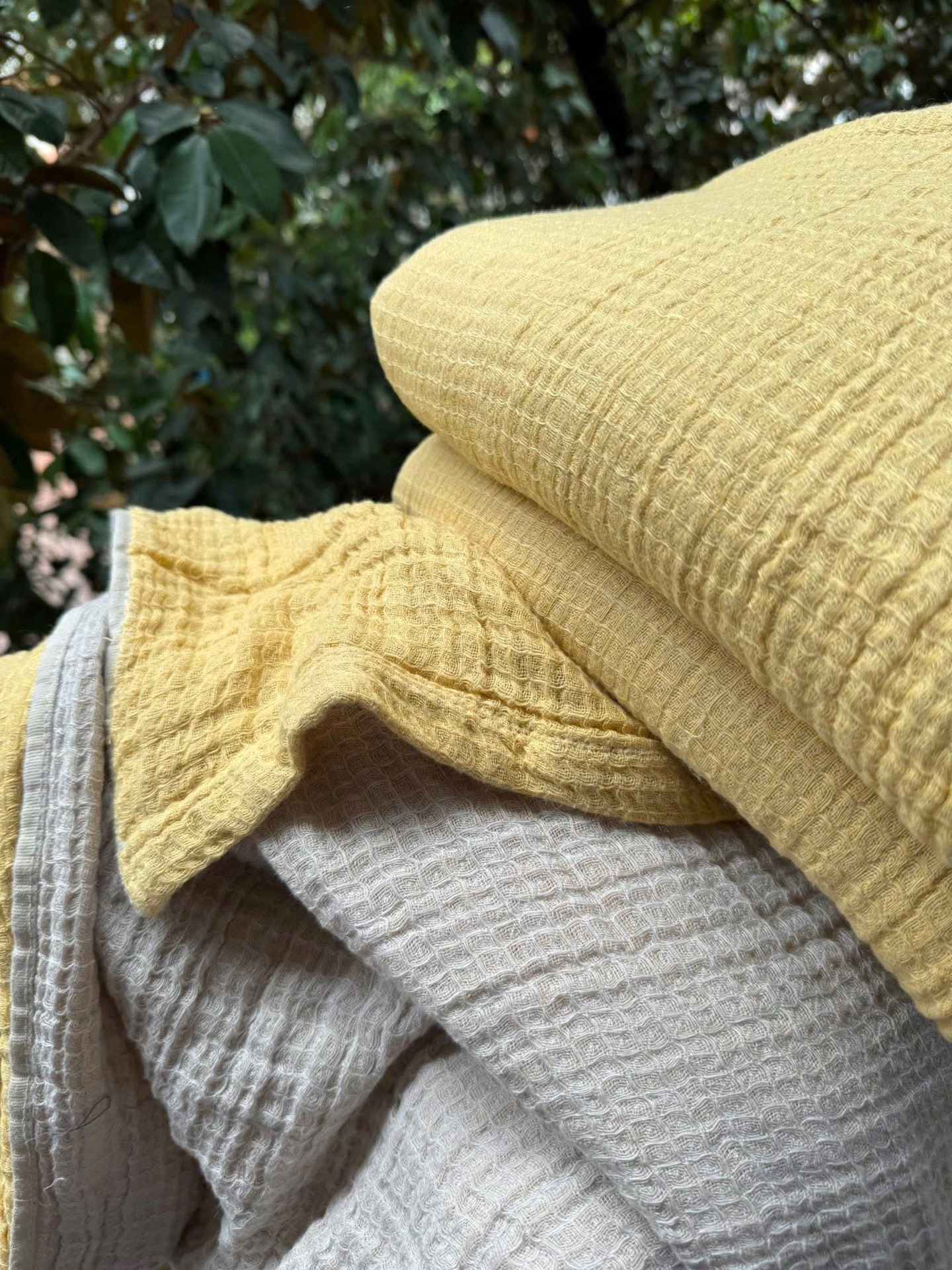 P14 Chăn xô muslin - chăn lẻ