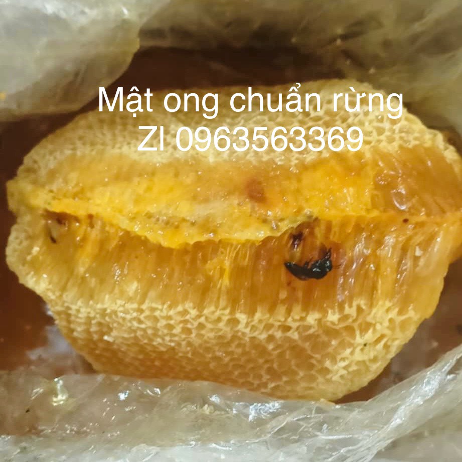 Mật ong khoái rừng bán theo tổ (kg)