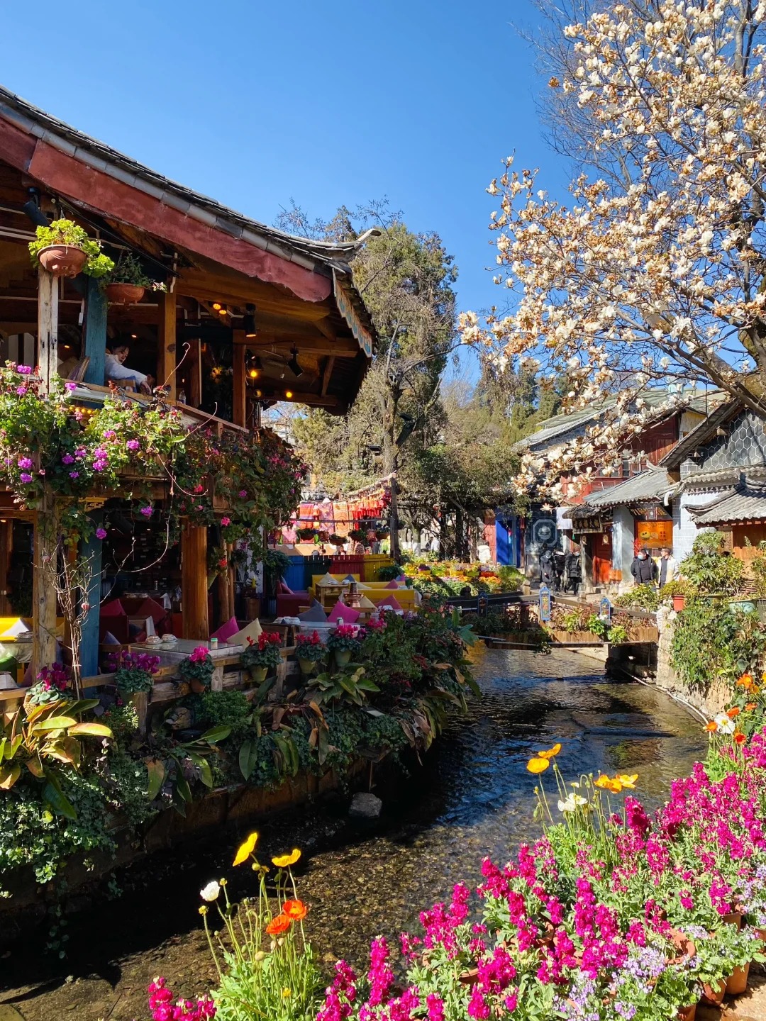 HÀ NỘI - LỆ GIANG – SHANGRILA THÁNG 3, 4, 5 5N4D