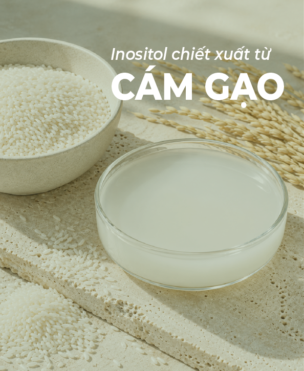 Hoạt chất Inositol